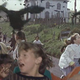 Photo: The Birds